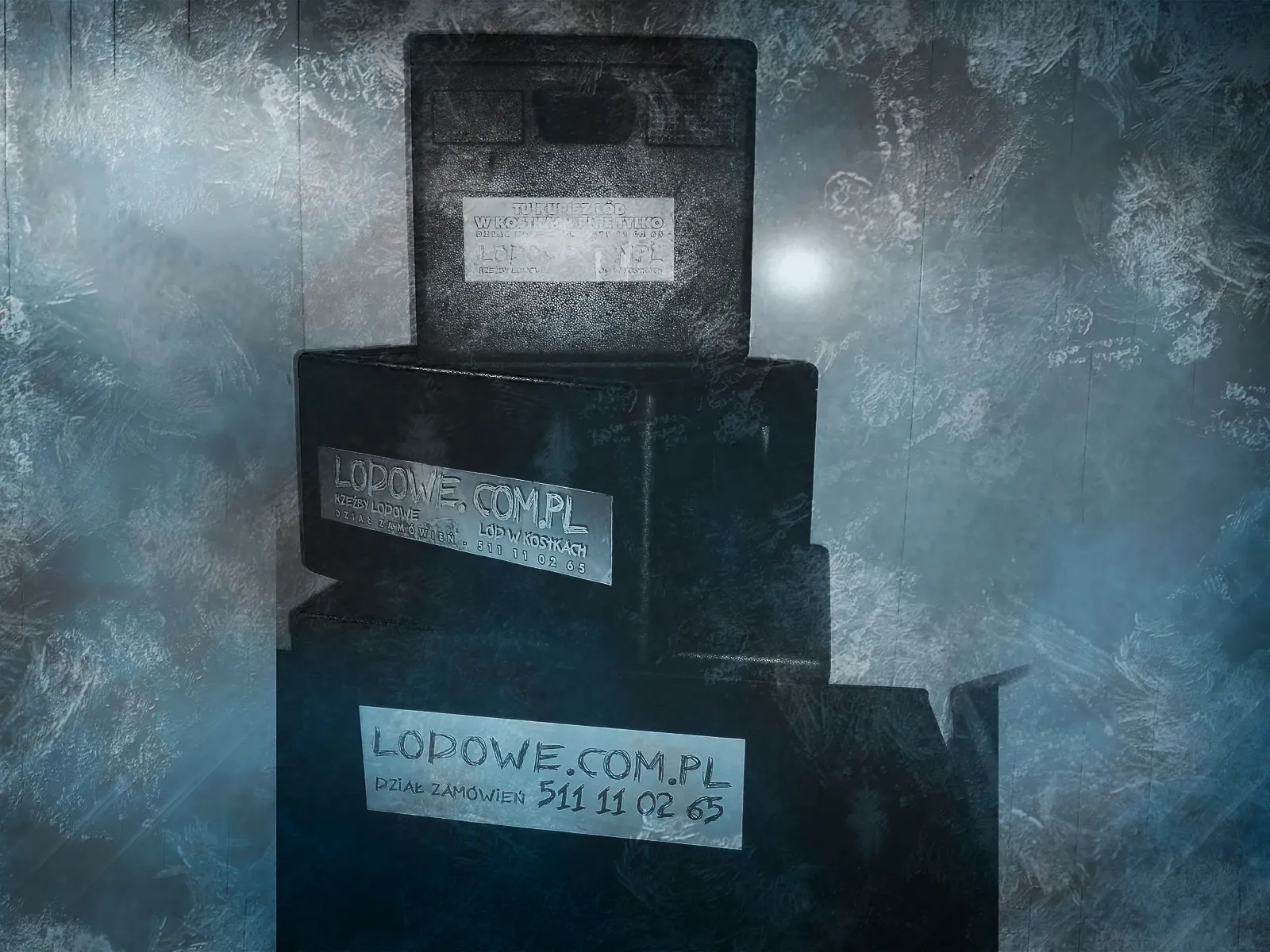 Boxy termiczne na lód gastronomiczny - wynajem termoboxów do transportu lodu