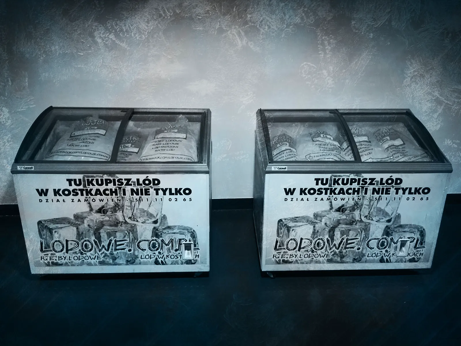 Profesjonalne zamrażarki na lód - wynajem i sprzedaż dla gastronomii